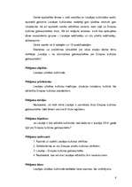 Diplomdarbs 'Liepāja - no rokmūzikas galvaspilsētas par Eiropas kultūras galvaspilsētu', 4.