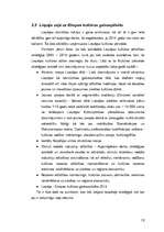 Diplomdarbs 'Liepāja - no rokmūzikas galvaspilsētas par Eiropas kultūras galvaspilsētu', 19.