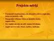 Prezentācija 'Prezentācija projektam par nometni', 5.