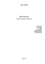 Referāts 'Dabas katastrofas', 1.