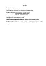 Referāts 'Dabas katastrofas', 4.