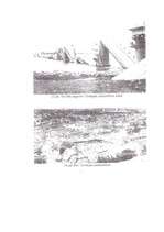 Referāts 'Dabas katastrofas', 19.