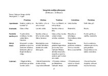 Prakses atskaite 'Kvalifikācijas prakse pirmsskolā', 37.