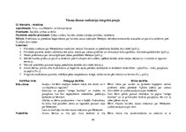 Prakses atskaite 'Kvalifikācijas prakse pirmsskolā', 40.