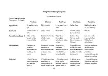 Prakses atskaite 'Kvalifikācijas prakse pirmsskolā', 46.