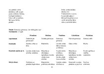 Prakses atskaite 'Kvalifikācijas prakse pirmsskolā', 53.