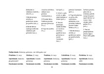 Prakses atskaite 'Kvalifikācijas prakse pirmsskolā', 55.