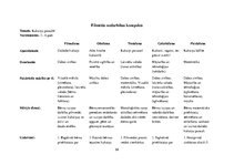 Prakses atskaite 'Kvalifikācijas prakse pirmsskolā', 58.