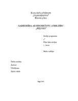 Biznesa plāns 'Sabiedrība ar ierobežotu atbildību "Peļuks" ', 1.