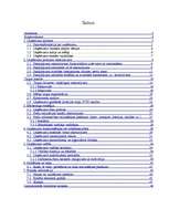 Biznesa plāns 'Sabiedrība ar ierobežotu atbildību "Peļuks" ', 3.