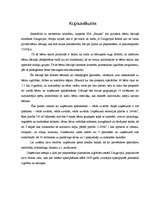 Biznesa plāns 'Sabiedrība ar ierobežotu atbildību "Peļuks" ', 4.