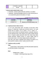 Biznesa plāns 'Sabiedrība ar ierobežotu atbildību "Peļuks" ', 6.