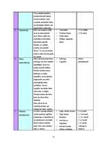 Biznesa plāns 'Sabiedrība ar ierobežotu atbildību "Peļuks" ', 10.