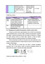 Biznesa plāns 'Sabiedrība ar ierobežotu atbildību "Peļuks" ', 11.