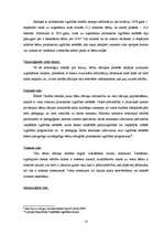 Biznesa plāns 'Sabiedrība ar ierobežotu atbildību "Peļuks" ', 18.