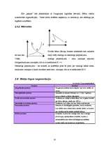Biznesa plāns 'Sabiedrība ar ierobežotu atbildību "Peļuks" ', 19.