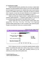 Biznesa plāns 'Sabiedrība ar ierobežotu atbildību "Peļuks" ', 20.