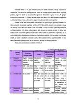 Biznesa plāns 'Sabiedrība ar ierobežotu atbildību "Peļuks" ', 21.