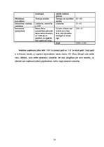 Biznesa plāns 'Sabiedrība ar ierobežotu atbildību "Peļuks" ', 28.