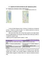 Biznesa plāns 'Sabiedrība ar ierobežotu atbildību "Peļuks" ', 29.