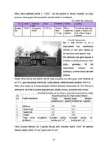 Biznesa plāns 'Sabiedrība ar ierobežotu atbildību "Peļuks" ', 30.