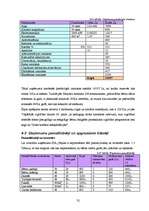 Biznesa plāns 'Sabiedrība ar ierobežotu atbildību "Peļuks" ', 32.