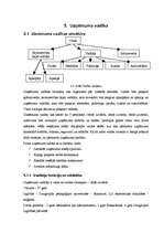 Biznesa plāns 'Sabiedrība ar ierobežotu atbildību "Peļuks" ', 34.