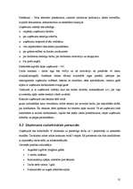 Biznesa plāns 'Sabiedrība ar ierobežotu atbildību "Peļuks" ', 35.