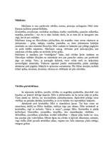 Referāts 'F.V.Nīčes dzīves filosofija', 6.