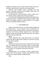 Referāts 'Korporatīvā sociālā atbildība', 7.