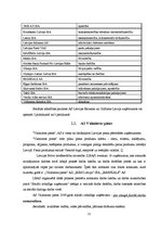 Referāts 'Korporatīvā sociālā atbildība', 12.