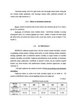 Referāts 'Korporatīvā sociālā atbildība', 18.