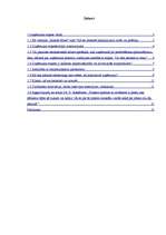 Referāts 'Viesnīca "Islande Hotel"', 1.