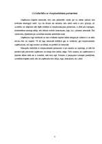 Referāts 'Viesnīca "Islande Hotel"', 8.