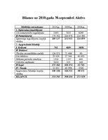 Paraugs 'Uzņēmuma gada pārskata analīze', 3.