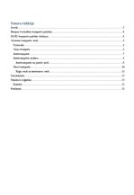 Referāts 'Transporta sistēmas komponentes', 2.