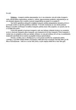 Referāts 'Transporta sistēmas komponentes', 3.