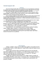 Referāts 'Transporta sistēmas komponentes', 5.