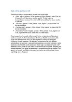 Referāts 'Transporta sistēmas komponentes', 12.