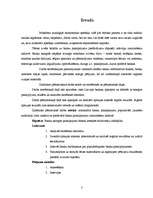 Referāts 'Banku sniegtie pakalpojumi', 3.