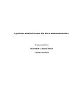 Konspekts 'Kapitālisma attīstība Eiropā un ASV. Brīvās konkurences sistēma', 1.