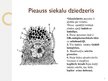 Prezentācija 'Siekalu dziedzeri', 9.