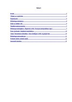 Referāts 'SIA "Velo" tirgus izpēte', 1.