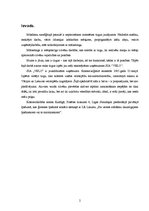 Referāts 'SIA "Velo" tirgus izpēte', 2.