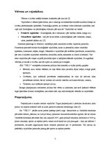 Referāts 'SIA "Velo" tirgus izpēte', 3.