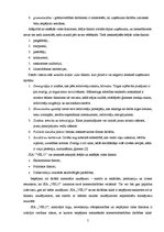 Referāts 'SIA "Velo" tirgus izpēte', 5.