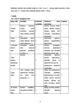 Referāts 'SIA "Velo" tirgus izpēte', 6.