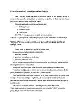 Referāts 'SIA "Velo" tirgus izpēte', 10.