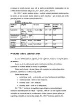 Referāts 'SIA "Velo" tirgus izpēte', 12.