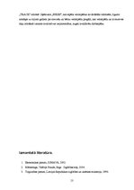 Referāts 'SIA "Velo" tirgus izpēte', 13.